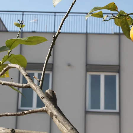 Palazzo Marage Maison d'hôtes